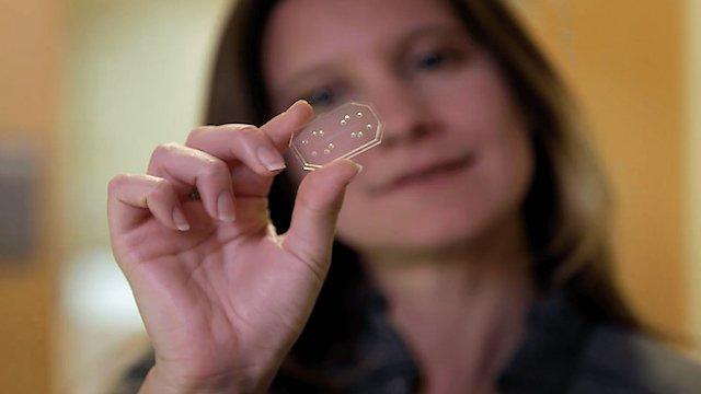 Watch The Nature of Invention Online