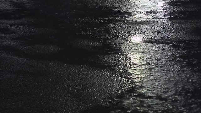 Watch Zen Sounds: Light Rain on City Street Online