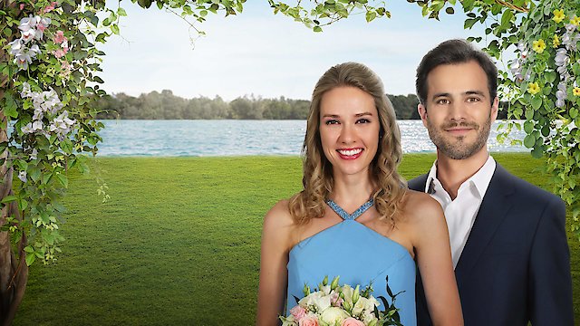 Watch You May Kiss the Bridesmaid Online