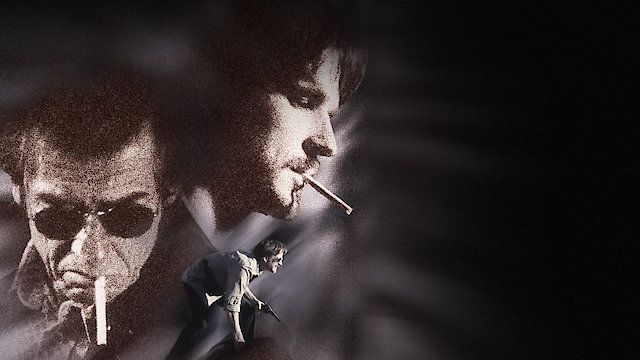 Watch If... Dog... Rabbit Online