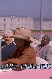 Greyhounds