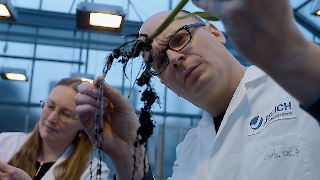 Watch Our Roots Our Future Online