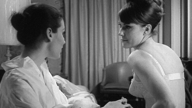 Watch Warm Nights and Hot Pleasures Online