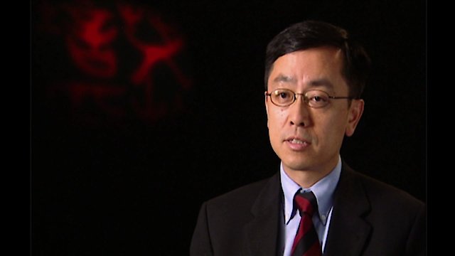 Watch John Rabe Online