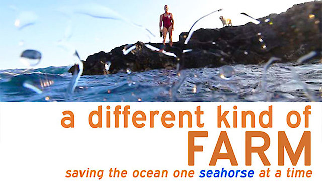 Watch A Different Kind of Farm Online