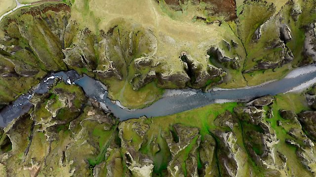 Watch Super Moss Online