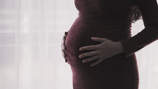 Watch Strange Pregnancies Online