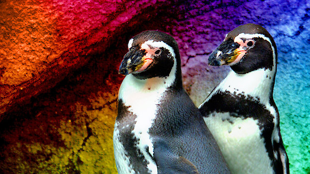 Watch Queer Planet Online