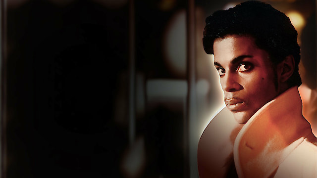 Watch Prince: The Final Secret Online