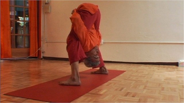 Watch Enlighten Up Online