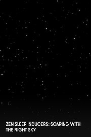 Zen Sleep Inducers: Soaring with the Night Sky poster
