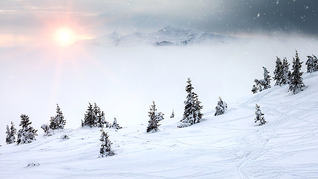 Watch A Relaxing Christmas Online