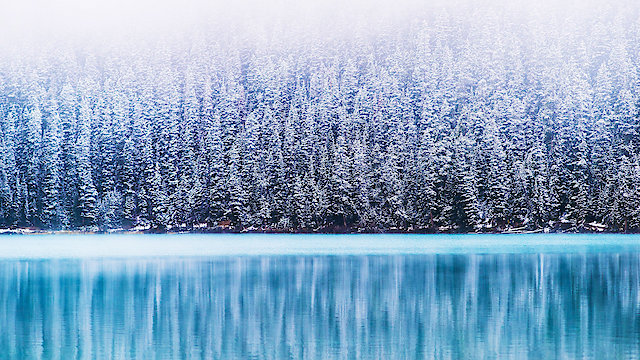 Watch Tim Janis - All is Bright Online