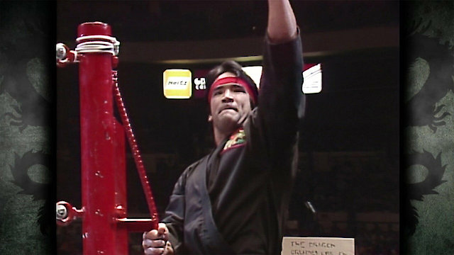 Watch Ricky Steamboat: The Life Story of The Dragon Online