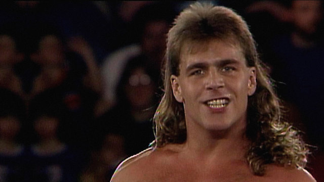Watch WWE Shawn Michaels Heartbreak & Triumph Online