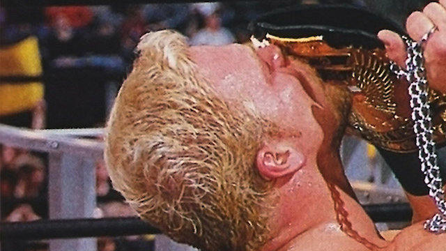 Watch WCW Sin Online