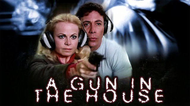 Watch A Gun In The House Online