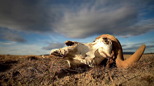 Watch Extinction: Going, Going, Gone Online