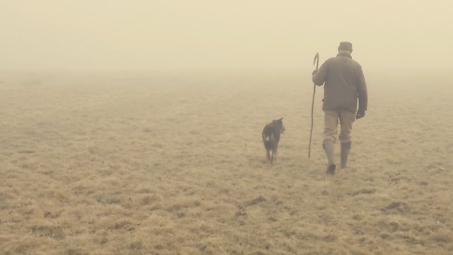 Watch The Old Man and the Land Online