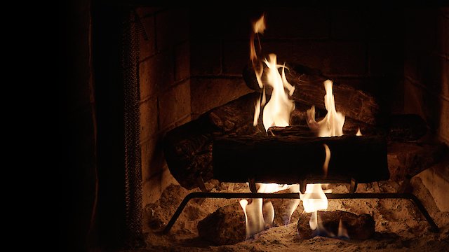 Watch Adult Swim Yule Log Online