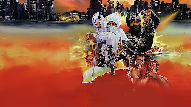 Watch Ninja USA Online