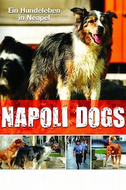 Napoli Dogs