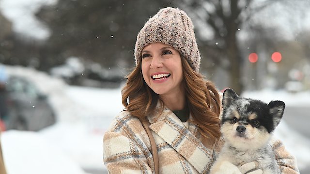 Watch A Royal Christmas Tail Online