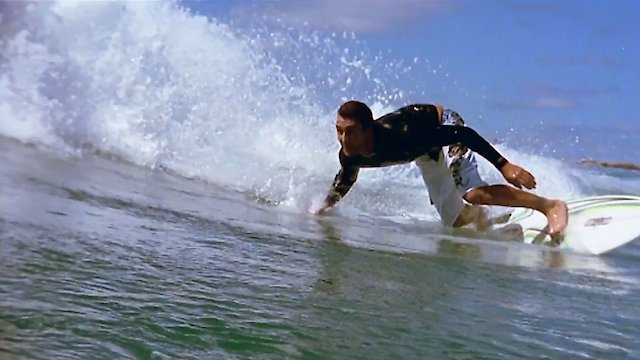 Watch Free as a Dog Online