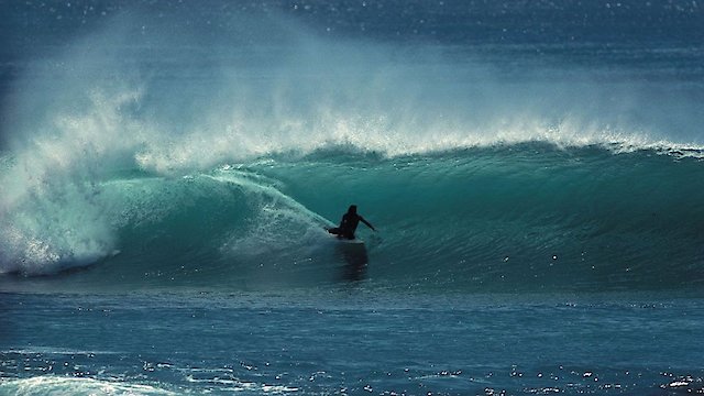 Watch Trade Wind Online