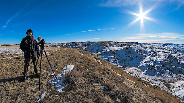Watch Wild Prairie Man Online