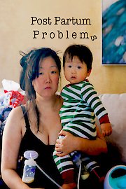 Post Partum Problems poster