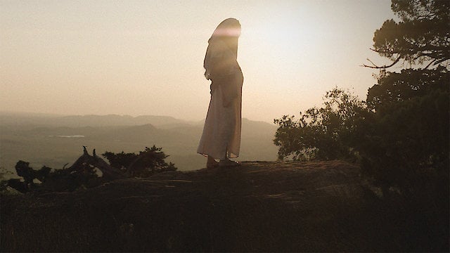 Watch Virgin Birth Online