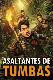 Asaltantes de tumbas poster