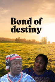 Bond of Destiny