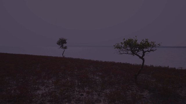 Watch Gohindanga Online