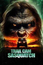 Trail Cam Sasquatch