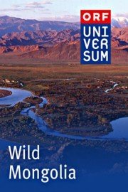 Wild Mongolia