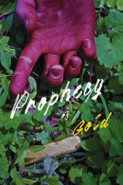 Prophecy of Gold poster