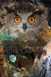 Wildlife's Rebirth in the Old Mine