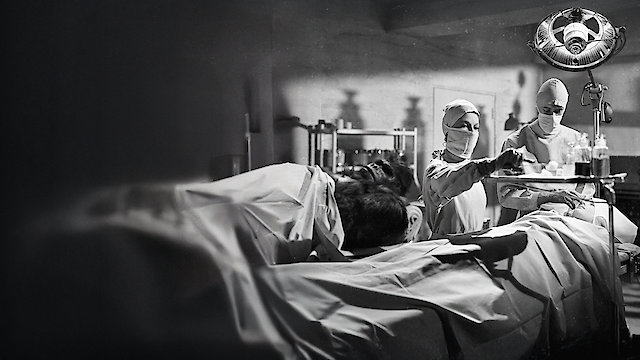 Watch Captive Wild Woman Online