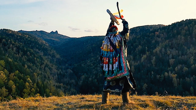 Watch Amazon Rain Forest Online