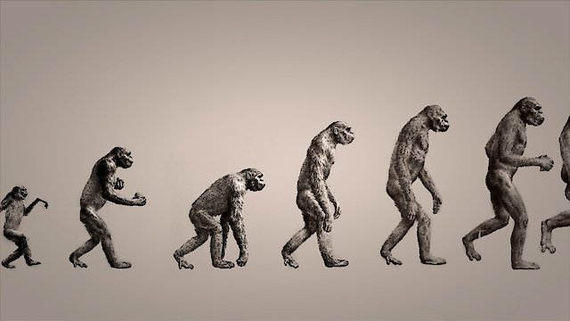 Watch Neanderthal Online