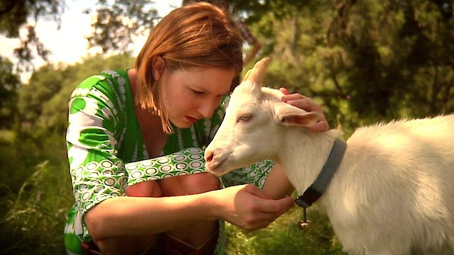 Watch Artois the Goat Online