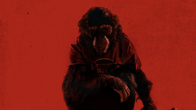 Watch Primate Online