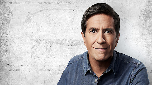 Watch Animal Pharm Online