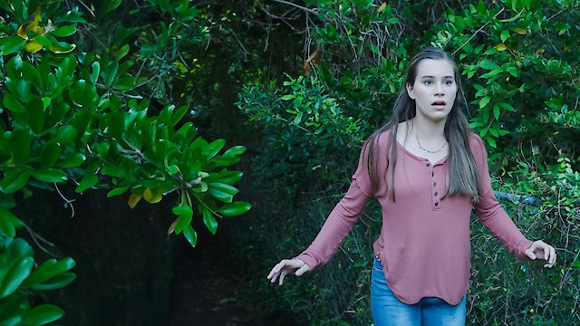 Watch Killer Cover Up Online