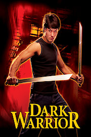 Dark Warrior poster