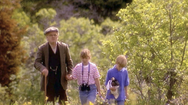 Watch Behind The Waterfall Online