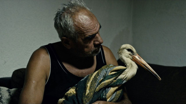 Watch The Tale of Silyan Online