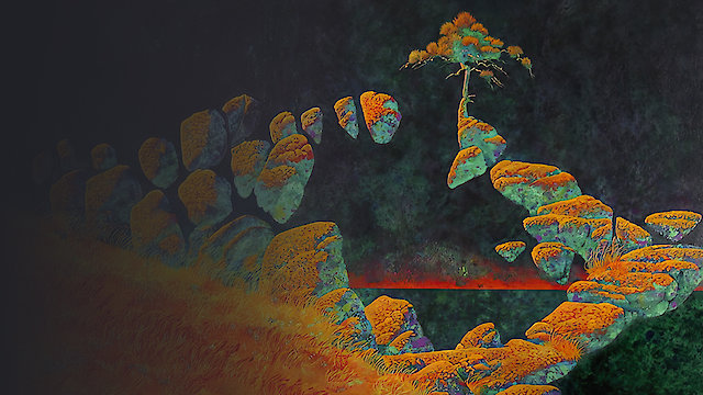 Watch Yes - Yes: Their Fully Authorised Story Online